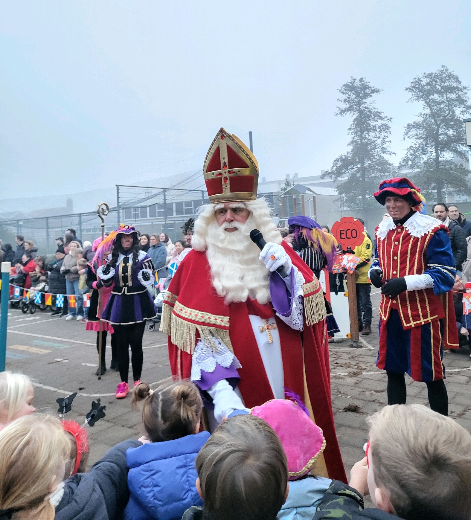 Sint1 Sint1 1